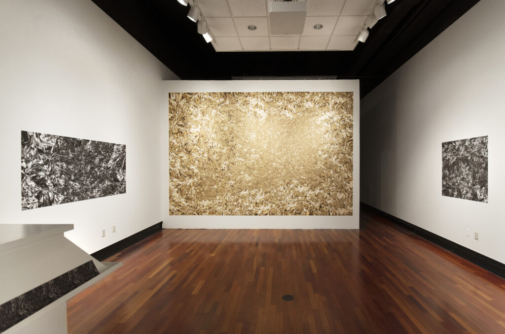 large digital photographs of metallic surfaces pinned to a gallery wall