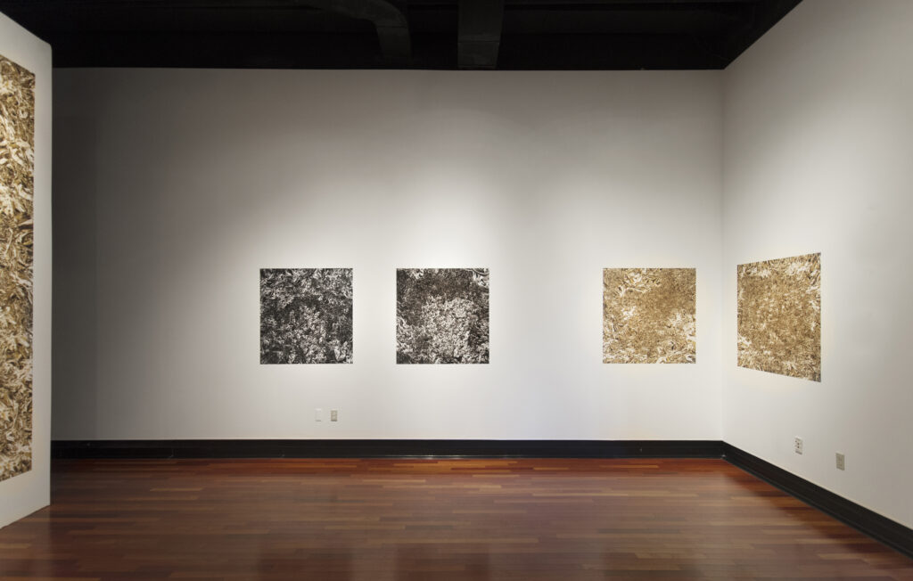 large digital photographs of metallic surfaces pinned to a gallery wall