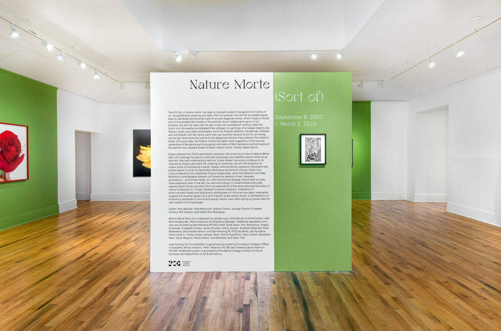An image of Hunt-Cavanagh Gallery at Providence College. In the center of the photo is a wall with the right third painted a bright green. The wall reads Nature Morte (Sort of). There is black wall text on the left white side of the wall and a small artwork hung on the green right side of the wall. On the surrounding walls of the gallery parts of flowers on other artworks can be seen.