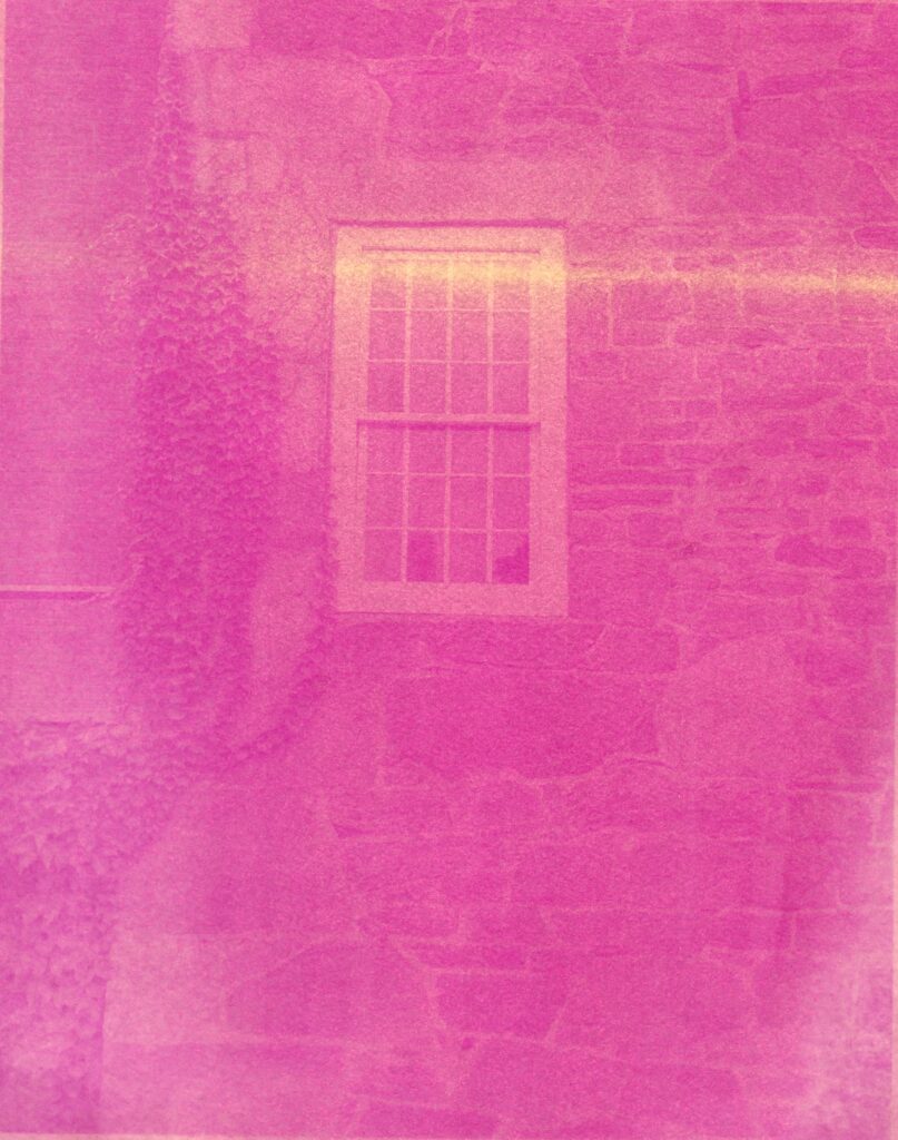 An image of a magenta processed handmade paper with a image of a window on an old stone building with ivy to the left side.