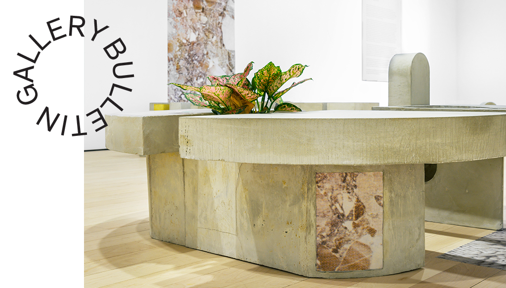 A rounded concrete table made of two semi circles. A green and pink plant blooms from the middle of the table as it sits in a gallery space.