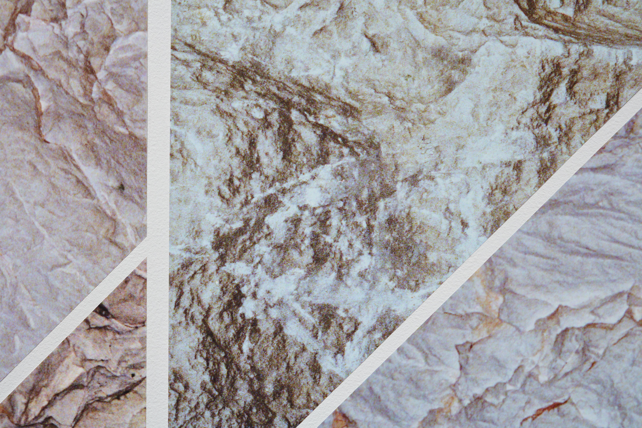 Closeup of four beige geometric shapes separated by a white border.