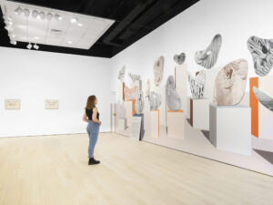 Gallery view of two perpendicular white walls, the back one holding two frames, the side a printed panorama of cellular-shaped objects on pedestals, with an individual gazing at the panorama.