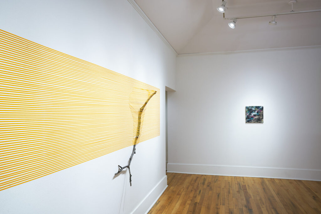Art exhibition featuring a bare tree branch attached to a white wall using thin horizontal yellow strips; the top is fully wrapped, bottom exposed.