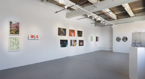 Art exhibition with two perpendicular white walls each holding vibrant prints and photographs, all enlightened with a gallery light pointed directly on them.