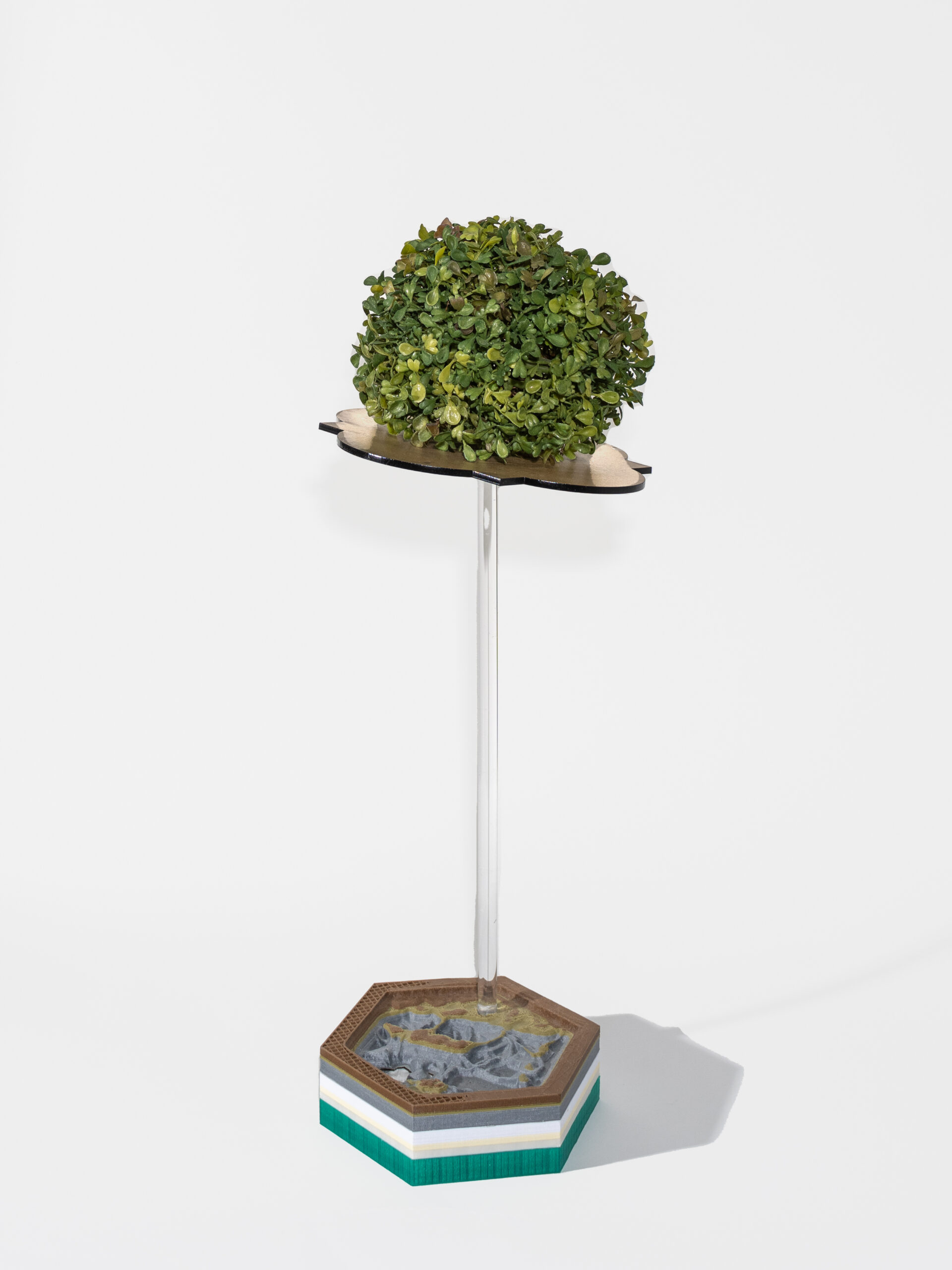 A 3D sculpture with circular bush held up by a stand attached to a hexagonal base. The base consists of lines of color and organic forms in the center.