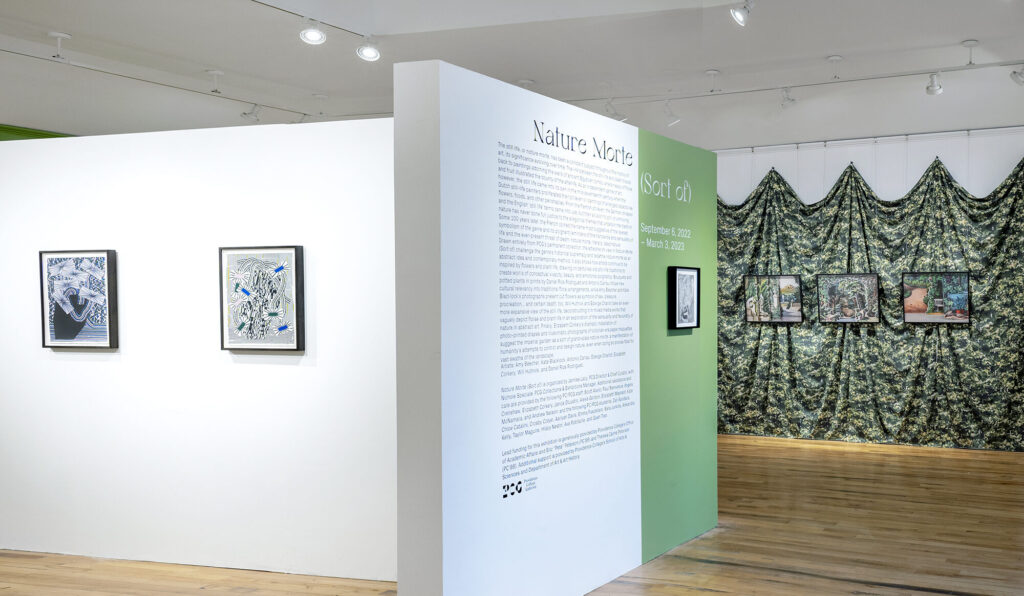 An art gallery corner featuring an introductory text panel titled "Nature Morte (Sort of)," with framed botanical illustrations on white walls and landscape paintings displayed against draped camouflage-patterned fabric.