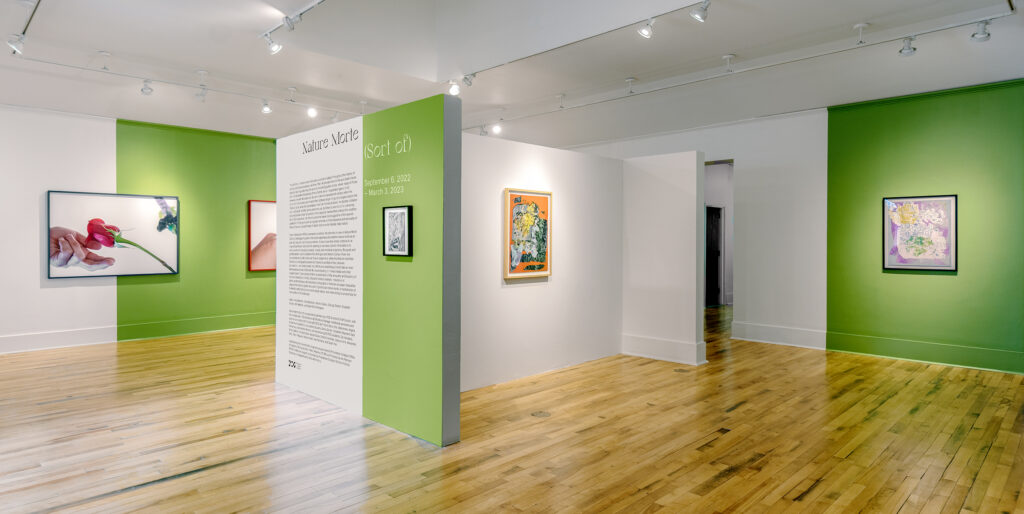 Installation view of an I shaped wall, reading: Nature Morte (Sort of), on one end, with the wall half white and half green, followed by more wording. Artworks hang on either side.