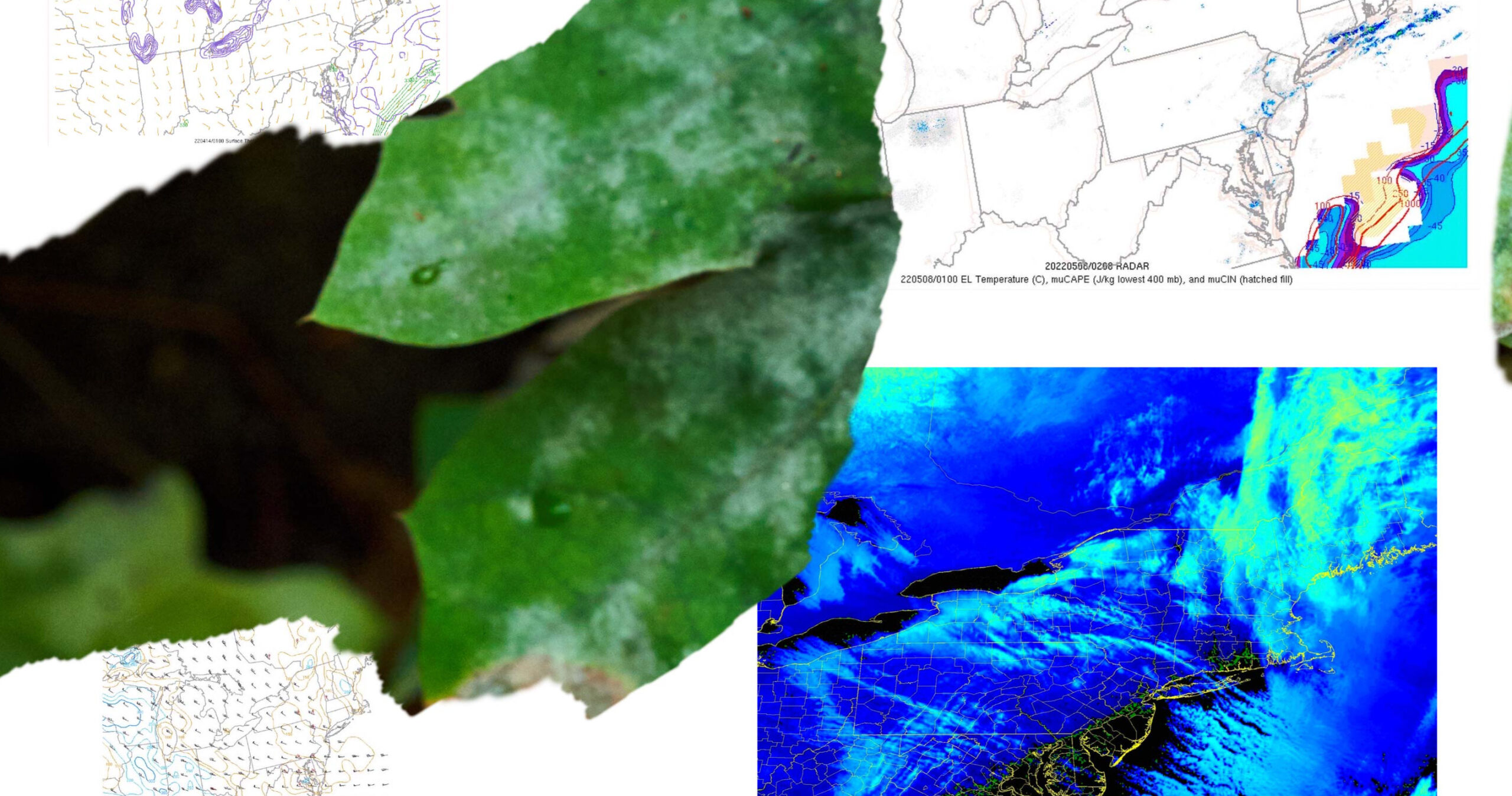 WEATHER FORMS (RI BAND): Leah Beeferman