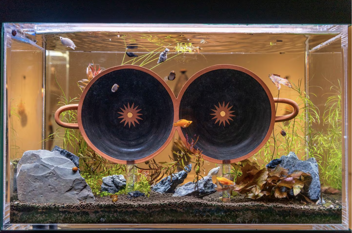 A fishtank filled with rocks, plants, and fish. In the middle of the tank is a terra cotta colored ceramic piece resembling two coffee mugs fused together, their interiors painted black with a blazing sun in the center.