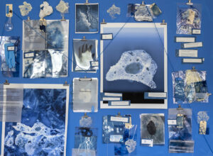Dozens of objects are affixed to a blue wall with binder clips. These include blue and white photographs of what appear to be geological formations, and several sheets of text.