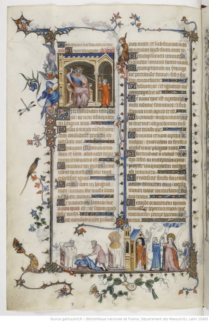 Breviaire de Belleville Jean Pucelle t.1 24v