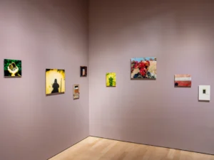 Boston Art Review: “Felicia Megginson’s Self-Portraits Recast Black Presence in Nature” 