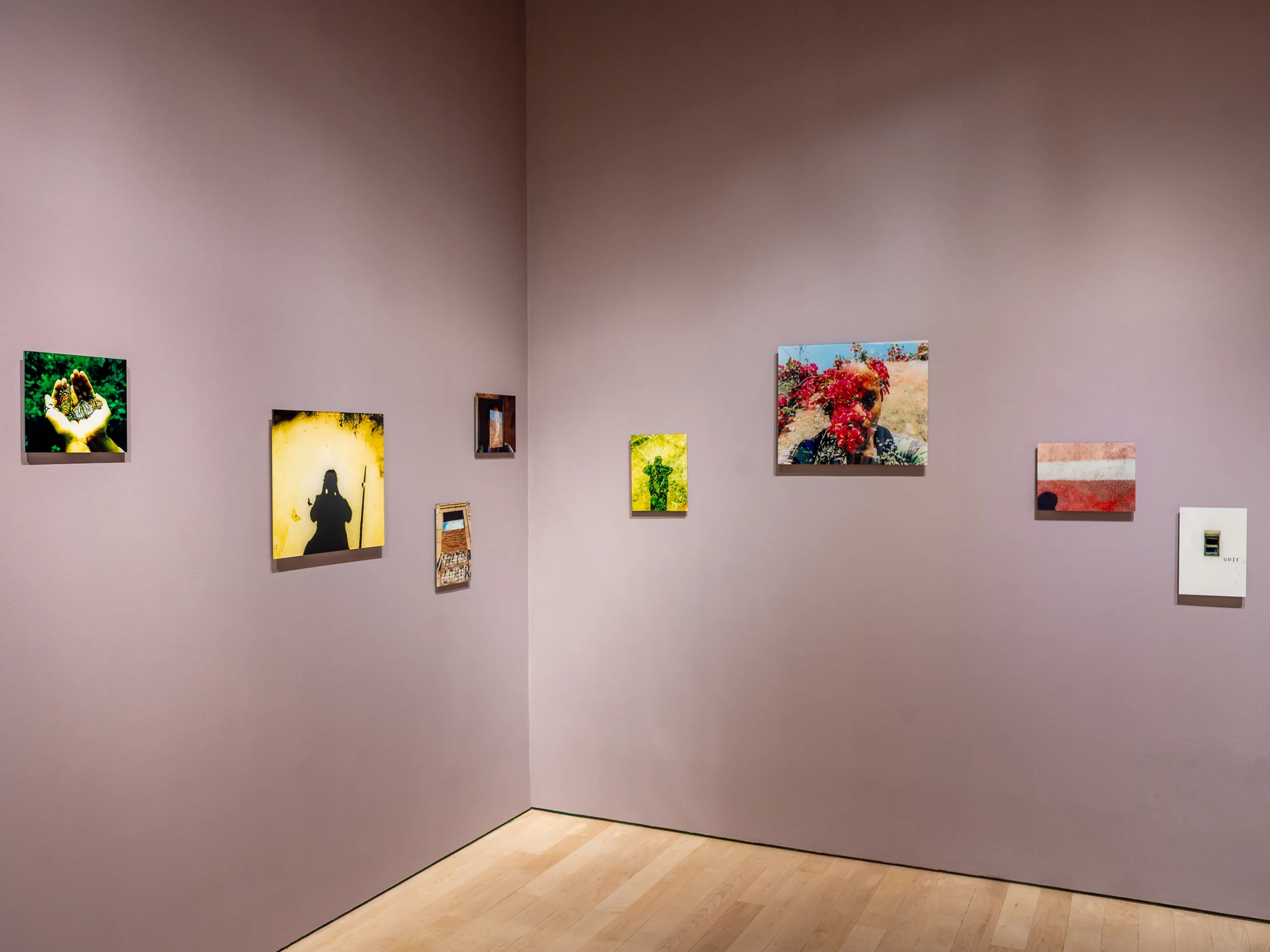 Salmon pink gallery walls with eight artworks hung on them.